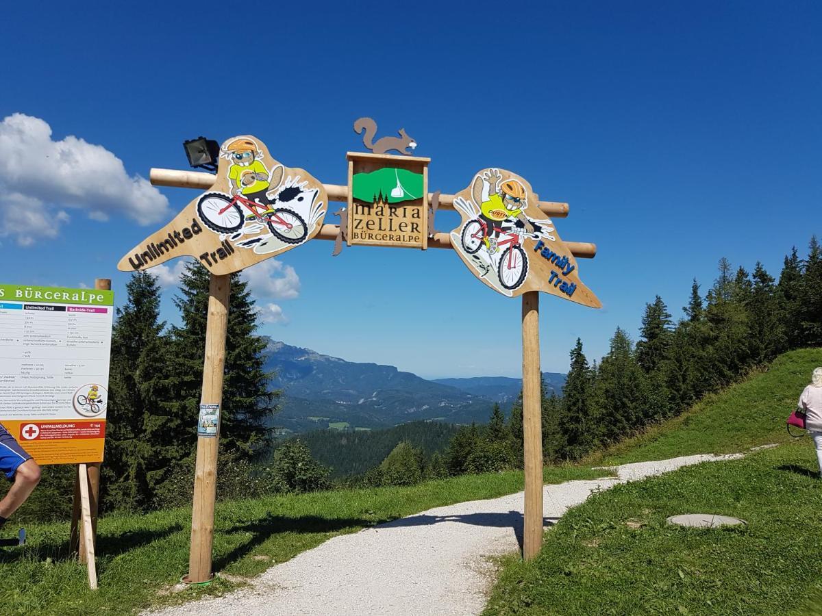 Apartment Mariazell Buergeralpe Екстер'єр фото