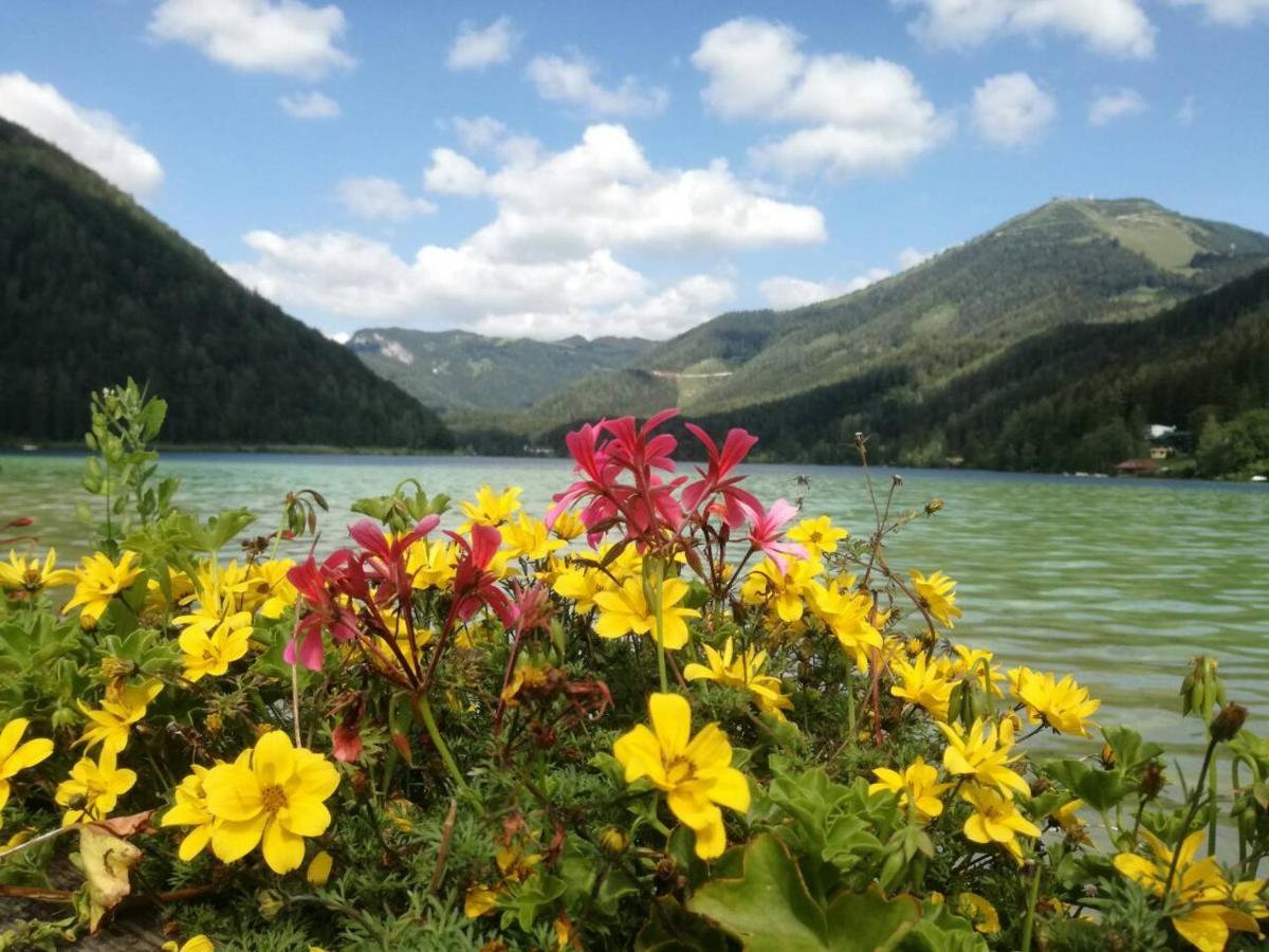 Apartment Mariazell Buergeralpe Екстер'єр фото